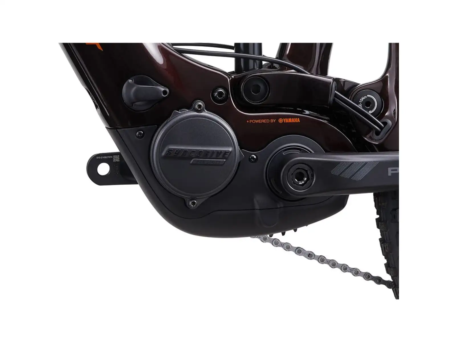 Giant Trance X Advanced E+ EL 2 Elektro-Mountainbike Amber Glow / Cordovan
