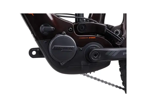 Giant Trance X Advanced E+ EL 2 Elektro-Mountainbike Amber Glow / Cordovan