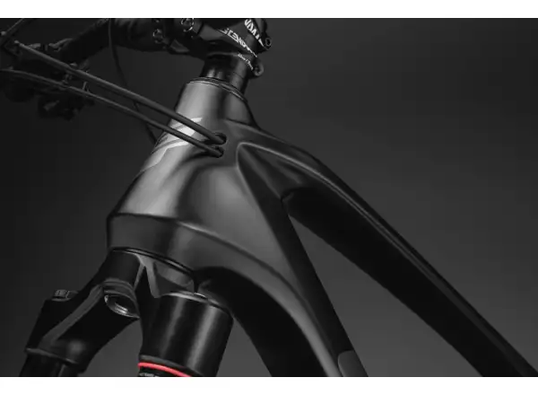 GT Force Carbon Pro DGR Mountainbike.