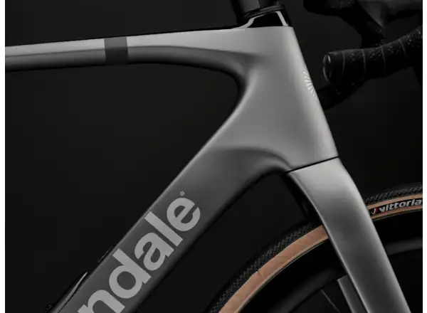 Cannondale Synapse Carbon 2 Rennrad Grey (GRY)