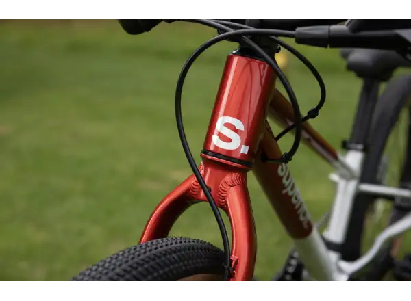 Superior TEAM 20 Kinderfahrrad Gloss Brushed Alu / Red