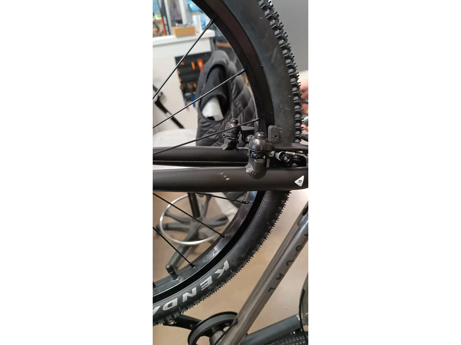 Rascal 20 Kinderfahrrad Titanium