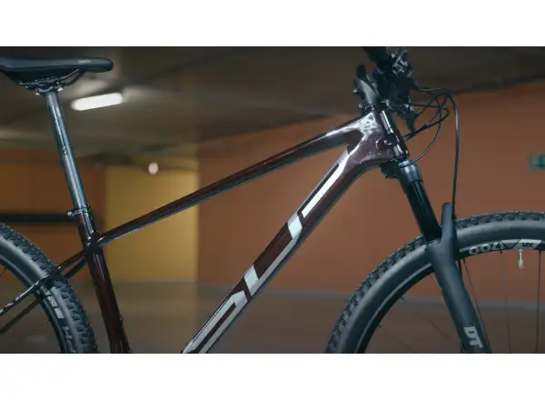 Superior Team 29 Elite Gloss Red Carbon/Chrome Mountainbike
