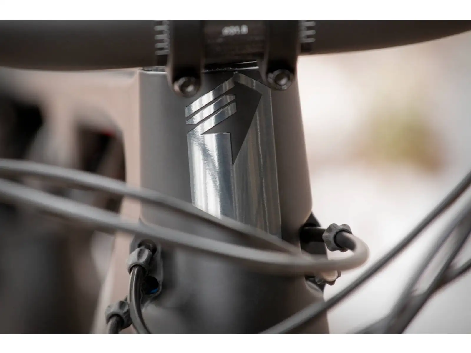 Mountainbike Superior Team XF 29 Gloss Carbon/Chrome