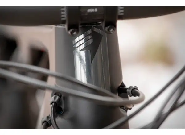 Mountainbike Superior Team XF 29 Gloss Carbon/Chrome