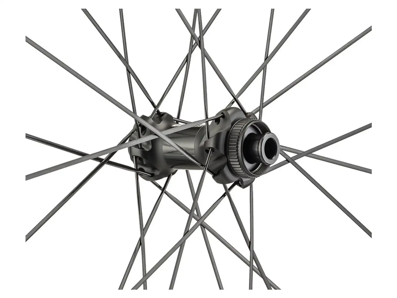 DT Swiss G 1800 25 Spline DB 28" Gravel Laufräder