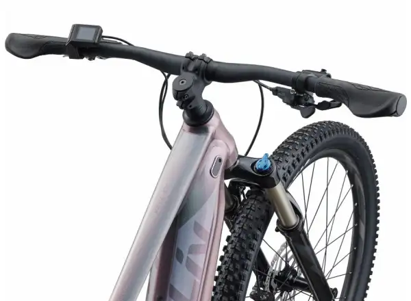 Liv Vall-E+ 2 29 Echeveria 2022 Damen E-Mountainbike