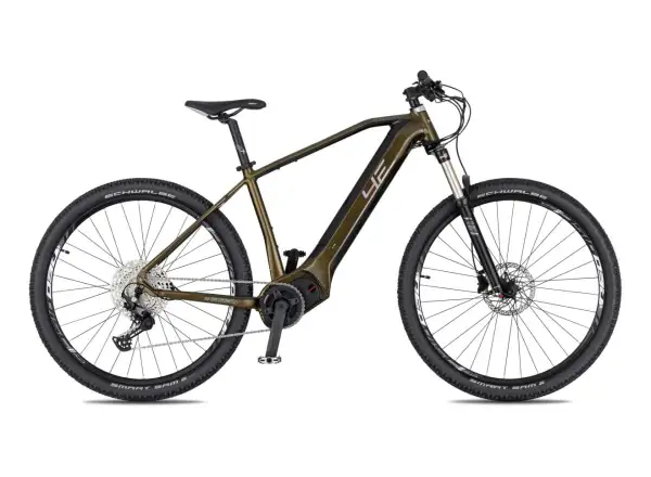 4EVER Exstream Elite Mountain-E-Bike Jungle Gold/Mirror