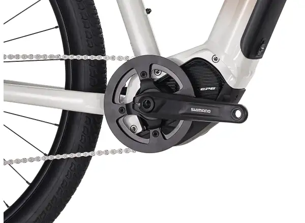 Superior eXC 6.2 elektrisches Mountainbike Gloss Dust