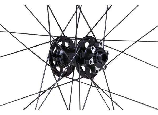 WTB Proterra Light i23 TCS 700C Vorderrad komplettiert.