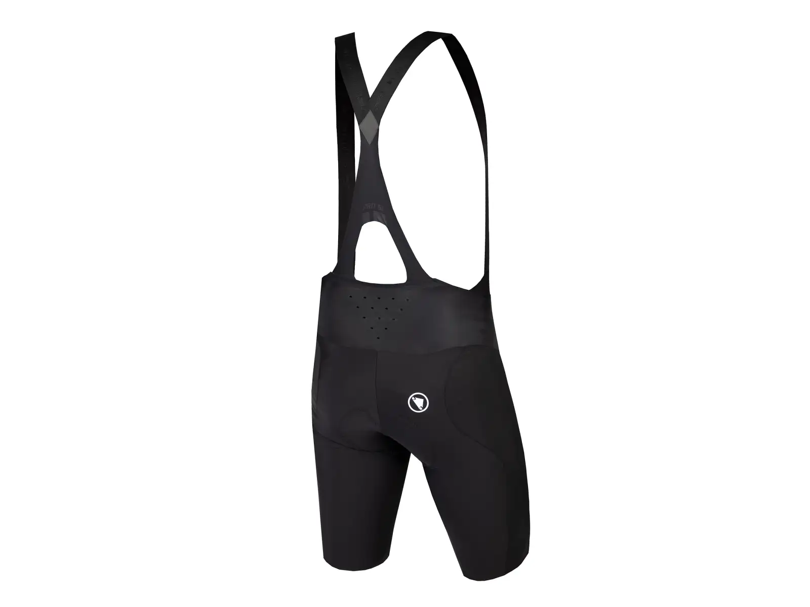 Endura Pro SL EGM Long Herren Trägerhose Black