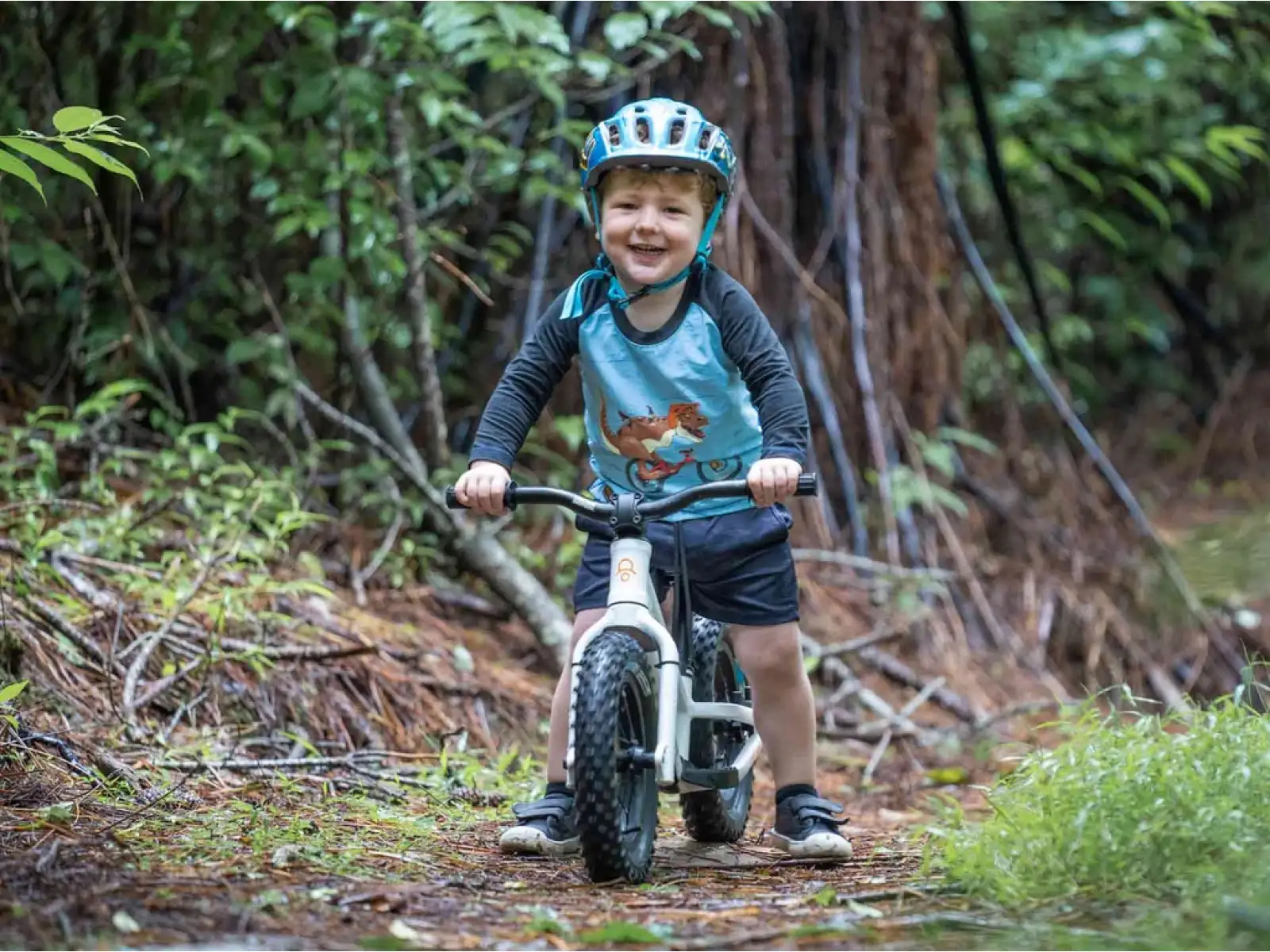 Kids Ride Shotgun Dirt Hero 14 Laufrad
