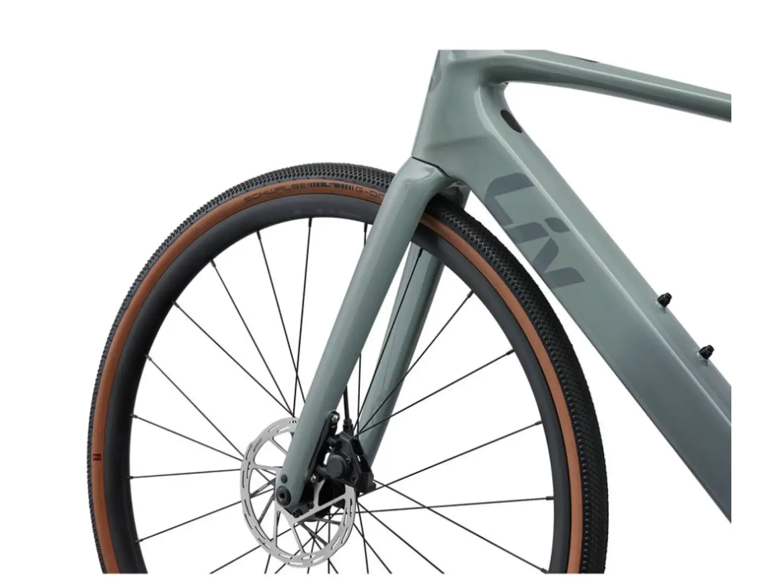 Liv Avail Advanced E+ Elite AR Renn-E-Bike Eucalyptus/Ocean Storm