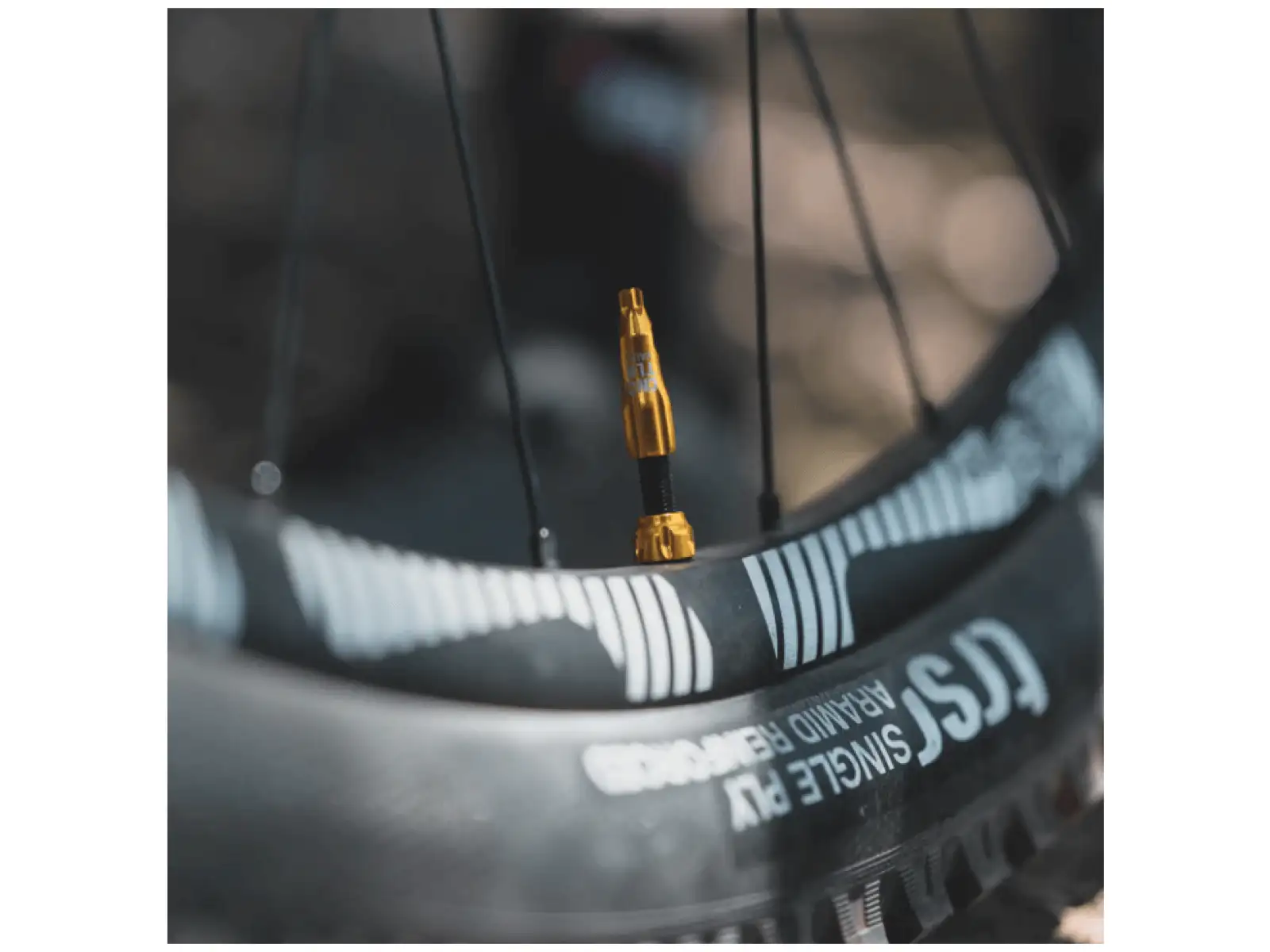 Lezyne CNC TLR Ventil Tubeless 60 mm in Gold