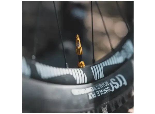 Lezyne CNC TLR Ventil Tubeless 60 mm in Gold