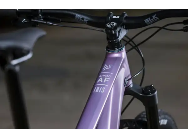 Ibis Ripmo AF Eagle 90 Mountainbike Rose