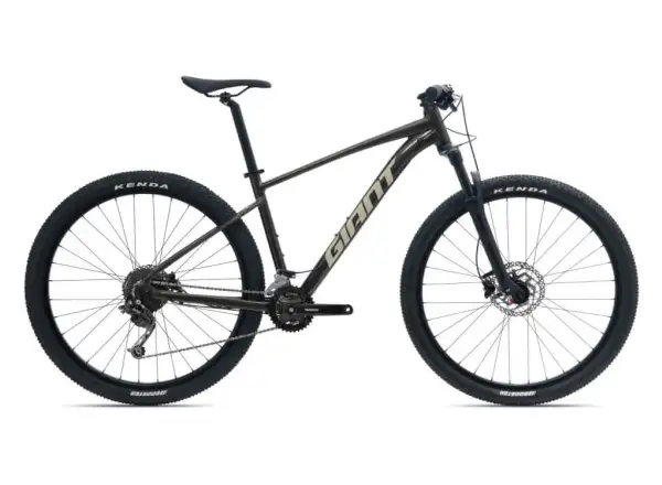 Giant Talon 29 2 Phantom green Mountainbike