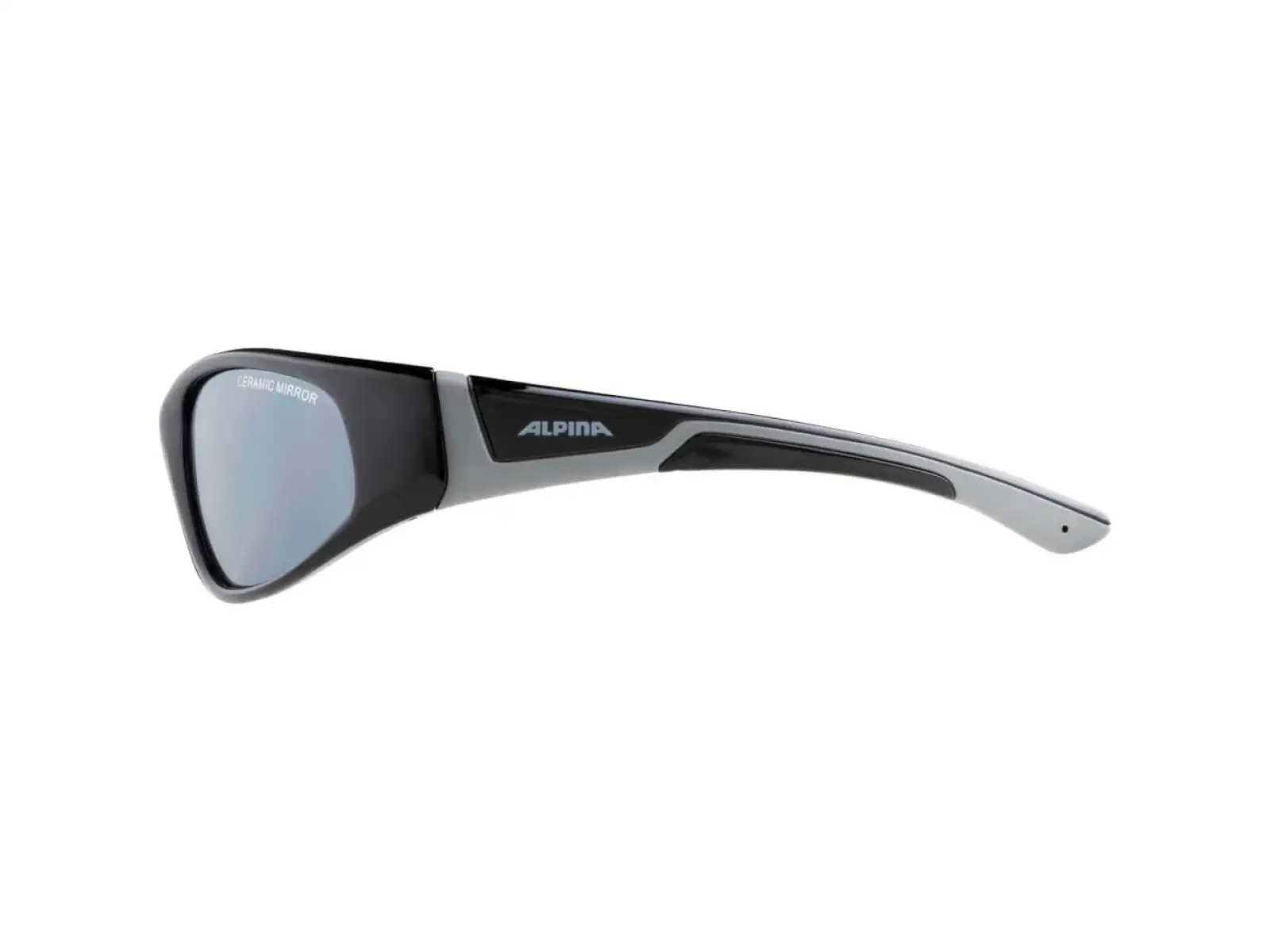 Alpina Flexxy Junior Kinderbrille Black/Grey
