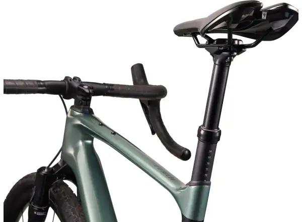 Giant Revolt X Advanced Pro 2 Schotterrad Nebelwald