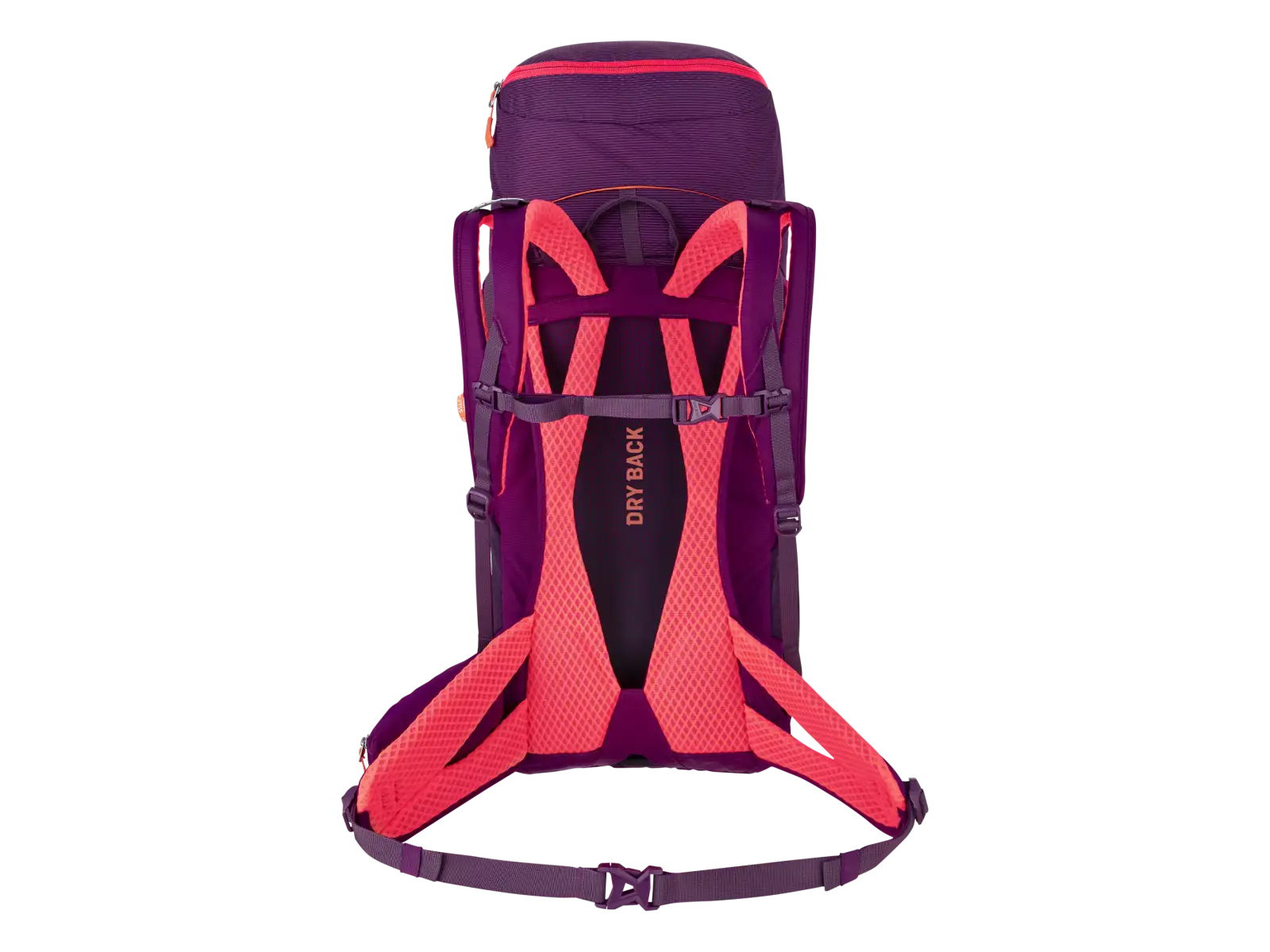 Salewa Alp Trainer 30+3 l Damenrucksack Black Out