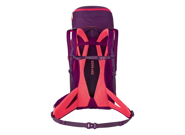 Salewa Alp Trainer 30+3 l Damenrucksack Black Out