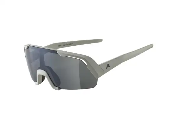 Alpina Rocket Youth Q-Lite Kinderbrille Cool/Grey Matt