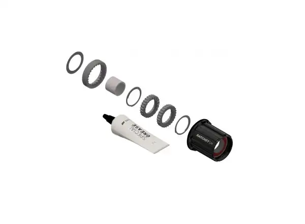 DT SWISS KIT Shimano HG Stahl - Umrüstsatz Naben 3pawls auf Ratchet LN