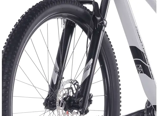 Rock Machine Blizz 30 Mountainbike 29" Gloss Limerock Grey