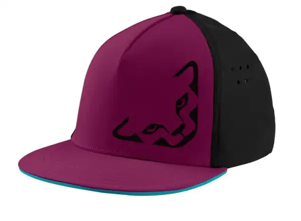 Dynafit Tech Trucker Hat Cap Rotrost
