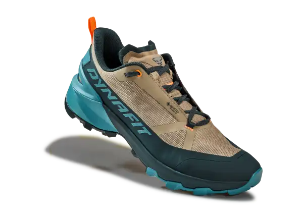 Dynafit Transalper 2 GTX Herrenlaufschuhe Blueberry/Fallen Rock