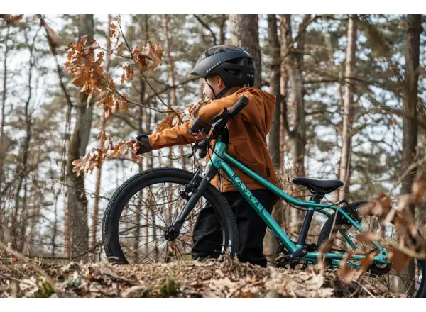 Rascal 20 Limited Kinderfahrrad Emerald