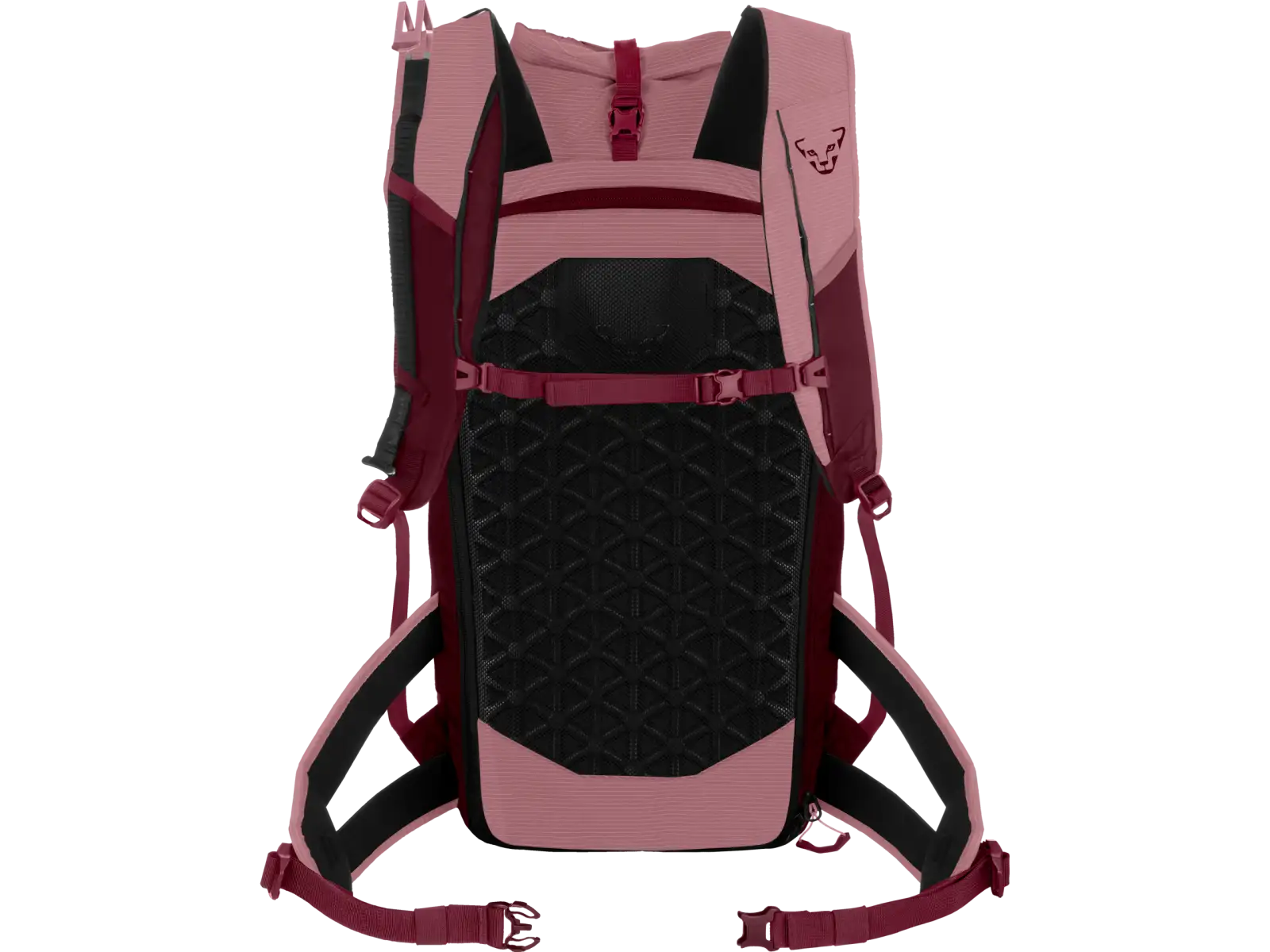 Dynafit Radical 30+ Damenrucksack 30 l Mokarosa/Burgundy