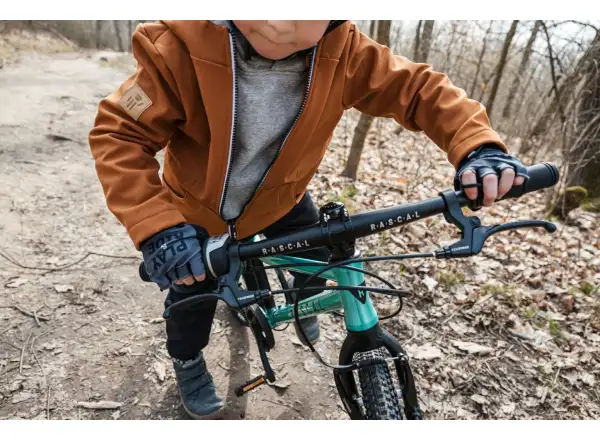 Rascal 20 Limited Kinderfahrrad Emerald