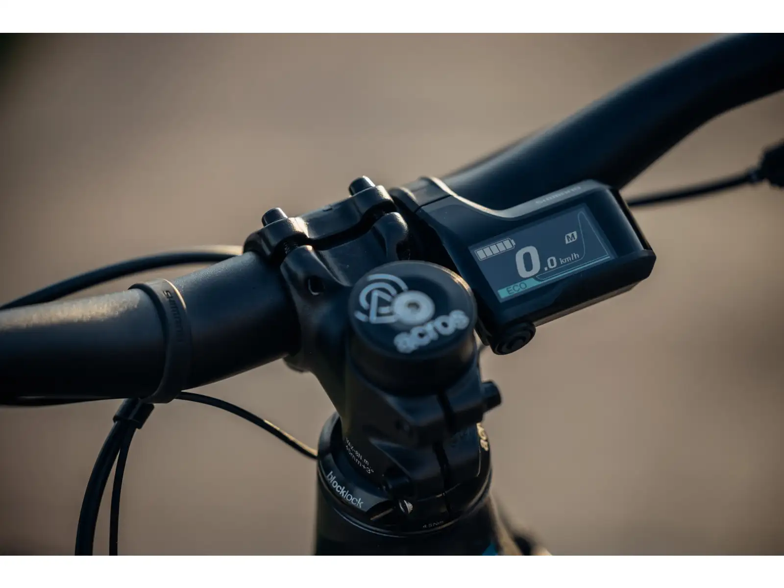 Rock Machine Torrent E90-29 Easy Entry Mountain-E-Bike Petrol MUSTER