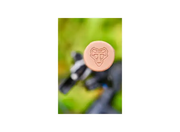 WTB CZ Kontrolle Single Clamp Griffe beige