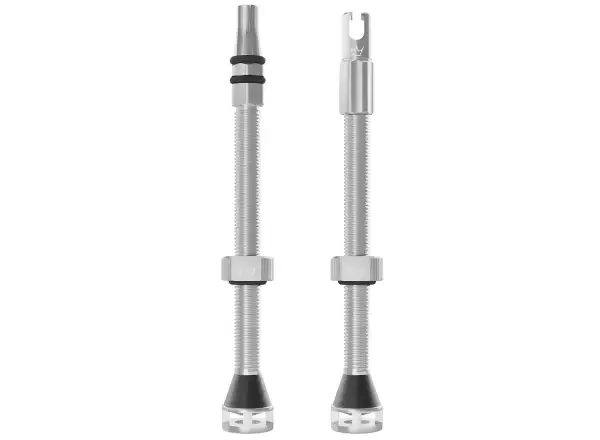 Peatys Holeshot Fast Flow Tubeless-Ventile 80 mm Silver
