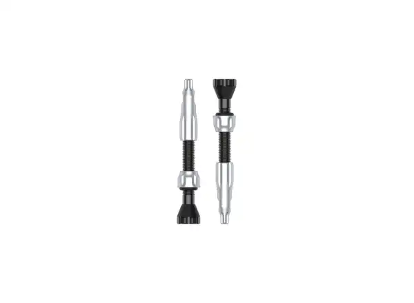 Lezyne CNC TLR Tubeless Ventile 44 mm Silber