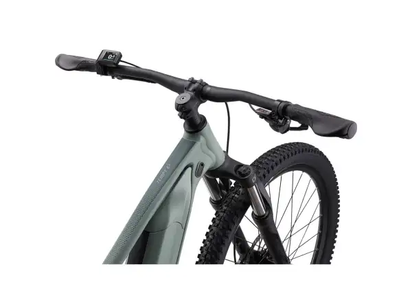 Liv Tempt E+ 3 elektrisches Mountainbike eucalyptus