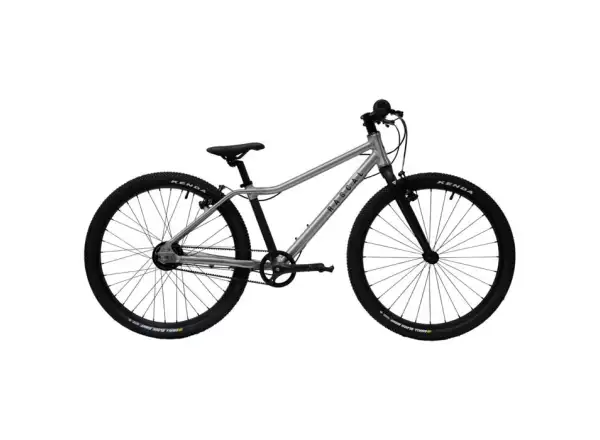 Rascal 24 5 sp. Sturmey Archer Kinderfahrrad Titan