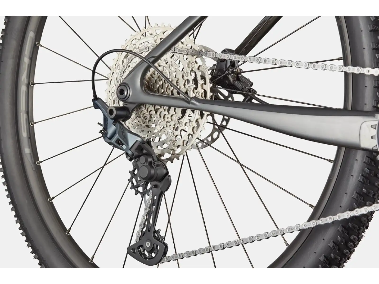 Cannondale Scalpel HT Carbon 2 Tiger Eye