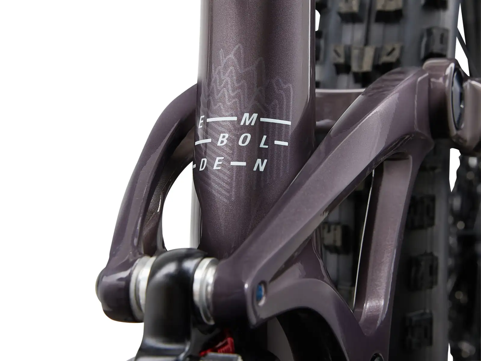Liv Embolden 29 1 Damen-Mountainbike Charcoal Plum