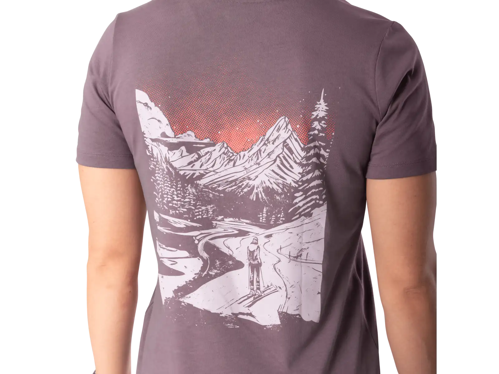 Dynafit Back Graphic Cotton Damen T-Shirt Kurzarm Ephemera/Valley