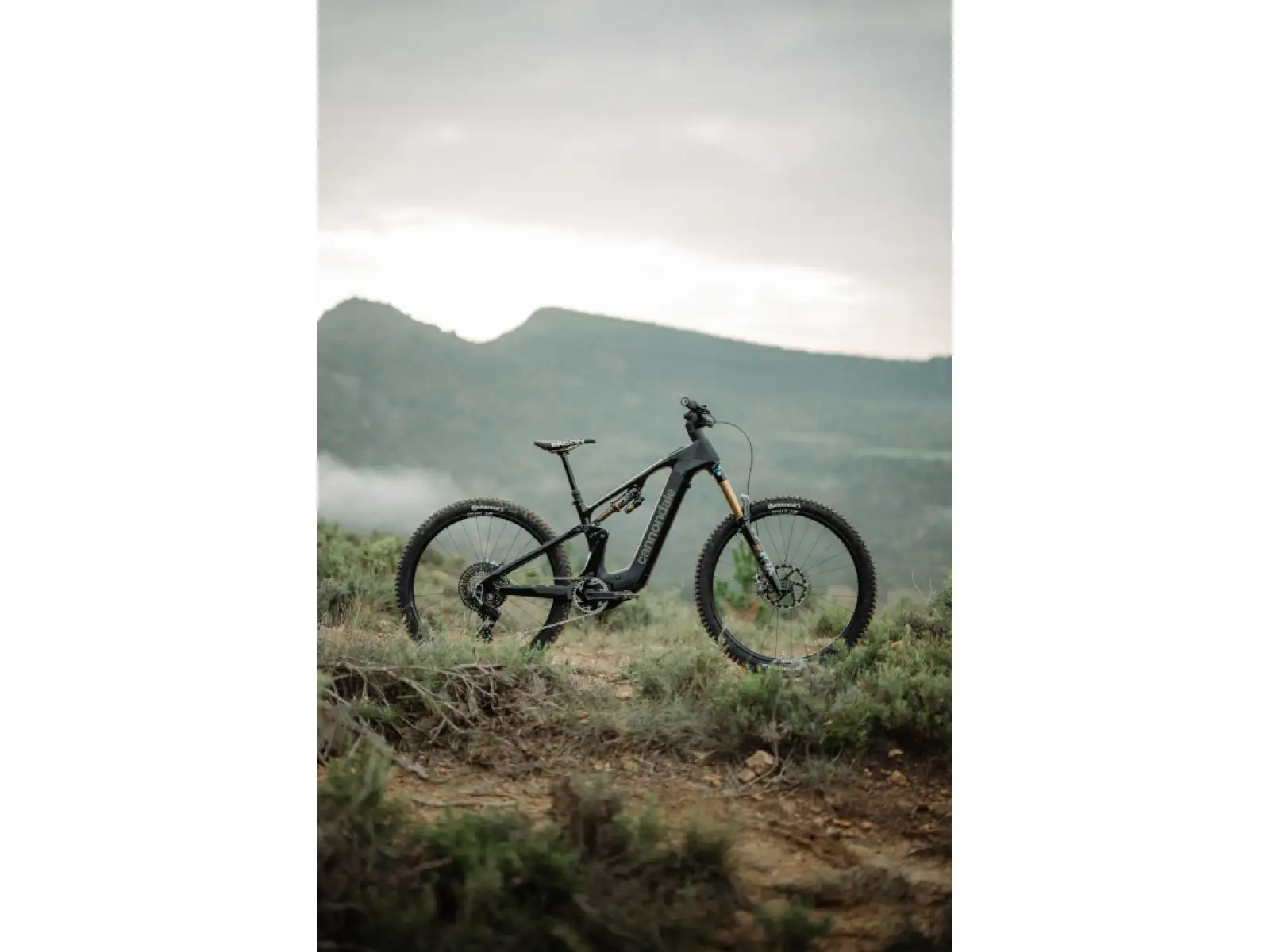 Cannondale Moterra Carbon 1 vollgefedertes Elektrofahrrad Matte Black (BBQ)