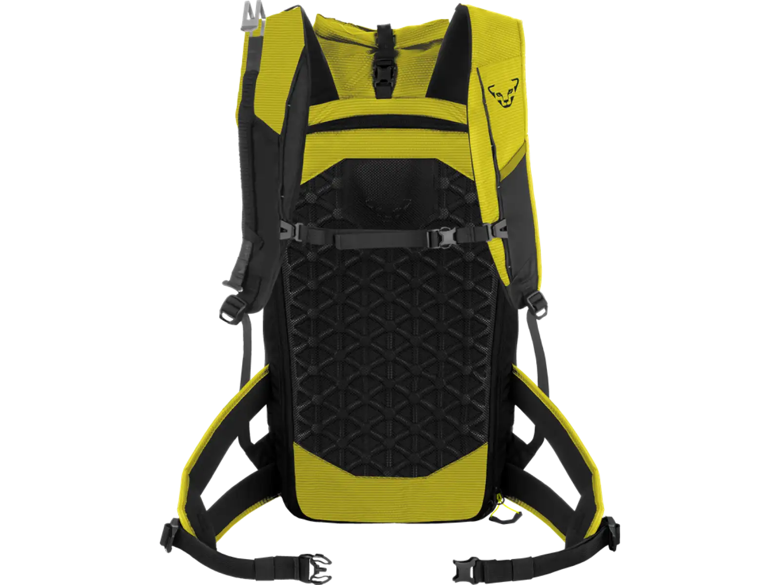 Dynafit Radical 30+ Skitourenrucksack 30 l Golden Lime/Black Out