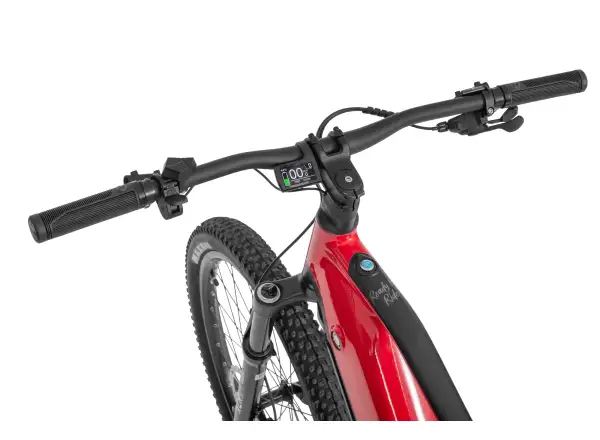 Ecobike RX 500 960 Wh schwarz rotes Mountain E-Bike