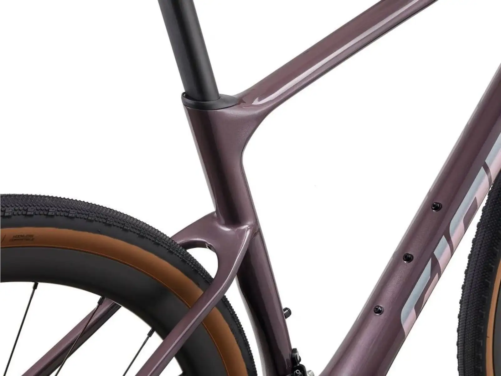 Giant Revolt Advanced 0 Gravel-Bike in Holzkohlen-Pflaume