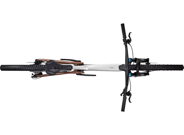Focus Mountainbike – Thron 6.9 Nepalsilver/Platinumbronze