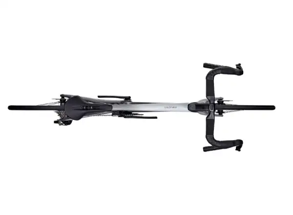 Focus IZALCO MAX 9.0 Rennrad Silber glänzend / Dunkel Silber glänzend