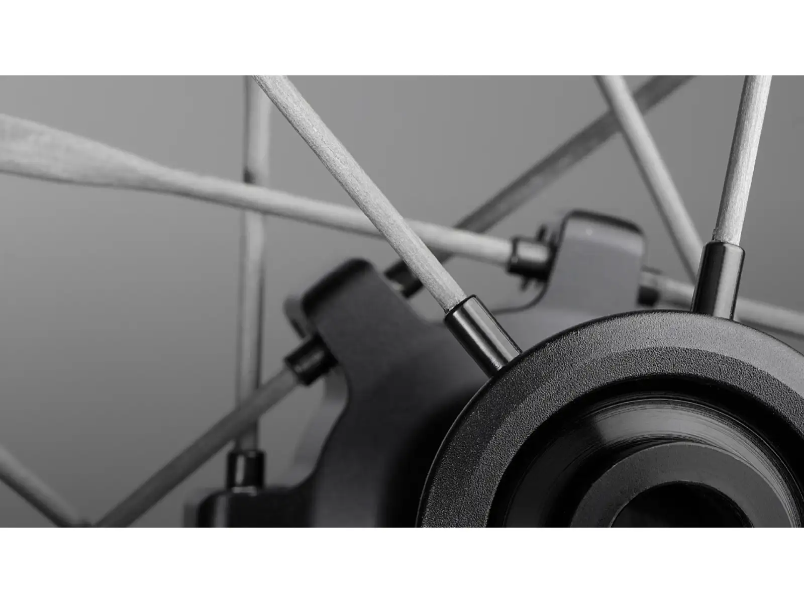 Mavic Comete 50 Disc CL Rennlaufräder Freilauf Shimano HG11