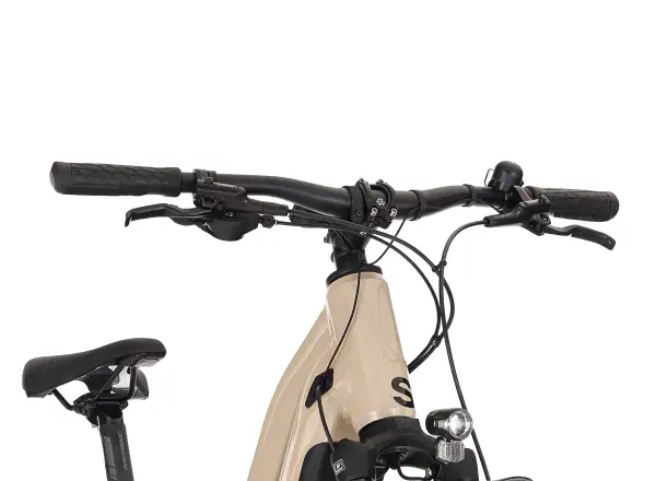Superior eRX 6.4 MS E-Bike Gloss Dust